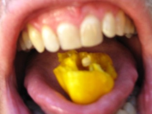 you've got to be kidding Kurma: 
